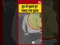 Shorts। दूध में थूकते हुए पकड़ा गया युवक #upnews #milk #viralvideo