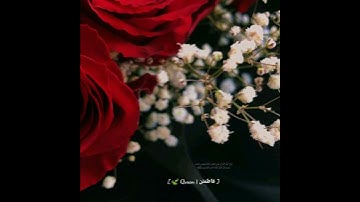 تلاوة سكينة وطمأنينة قرآن كريم حالات واتس { وَأَنْ أَتْلُوَ الْقُرْآنَ }.