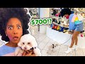 Buying EVERYTHING Our Dogs Touch!