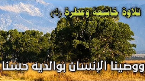 تلاوة خاشعة {{ووصينا الإنسان بوالديه حسنا}}