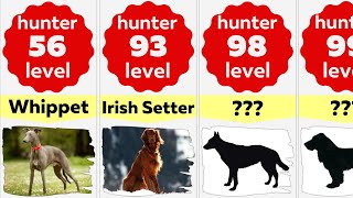 Comparison: Top 50 Best Hunting Dog Breeds | Better Dog Hunters by Your Pet's Special 6,080 views 1 year ago 3 minutes, 6 seconds
