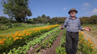 How to Scale Up for Self-Sufficiency | Homesteading with Jim Cronin [Chapter 7]