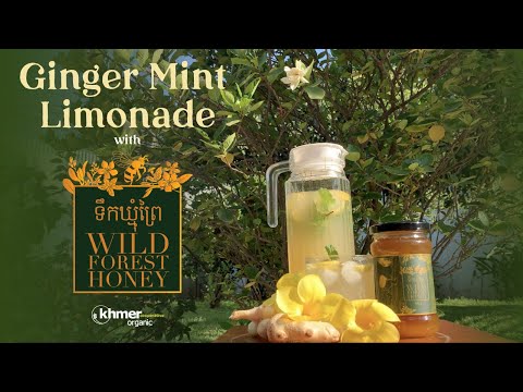 Ginger mint lemonade with Wild Honey