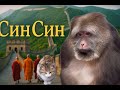 CинСин Обезьянка Покорившая Сердца Миллионов CинСин Обезьянка Покорившая Сердца Миллионов