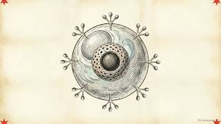 How consciousness and stress reprogram your cells