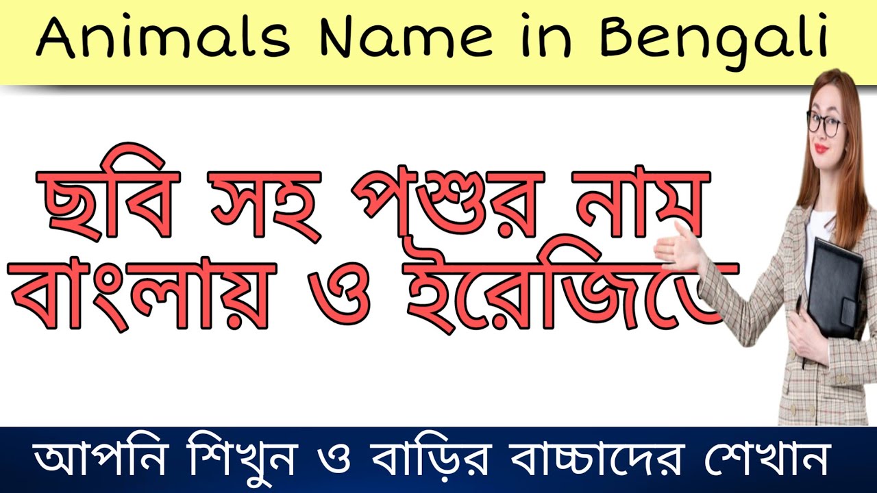 How many animals name in Bengali and English। Daily use english words। Wild  animals in Bengali - YouTube