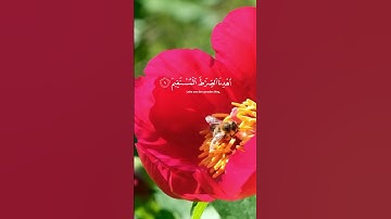 سورة الفاتحة بصوت الشيخ فارس عباد  #قران_راحة_نفسية #اكسبلور #قرآن  #explore #قران_كريم #فارس_عباد
