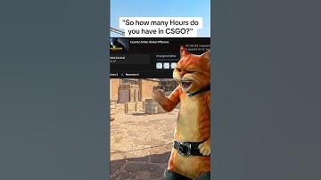 "How many hours do you have in CSGO?
