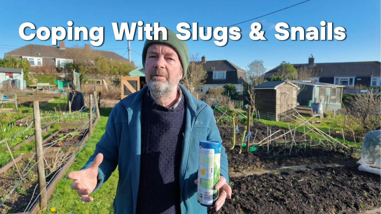 Why Your Slug Control Fails (and How to Fix It)