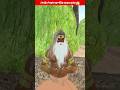 টাকলা ডাইনির কাপড় পছন্দ হয় 😱#carton#cartonshot