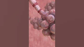 Mucus Affecting Lungs Health Oetanswers OET Answers Shorts 