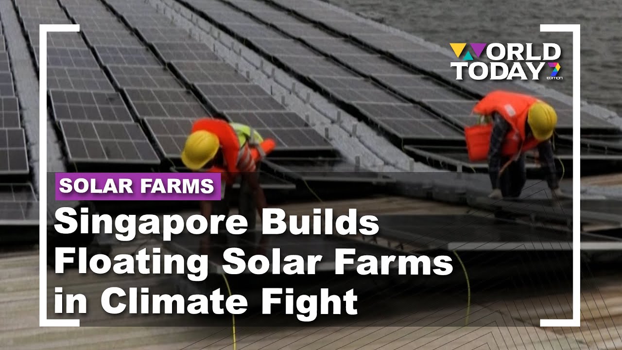 Singapore Builds Floating Solar Farms in Climate Fight | World Today ...