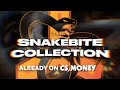 🔥The Snakebite Case is here! 🔥 Find it on CS.MONEY!