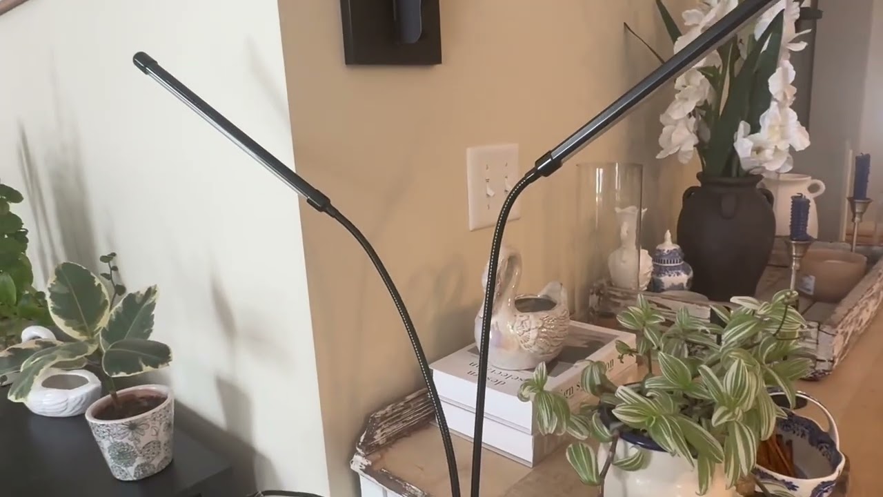 My honest review as someone thats new to grow lights but not to killing house plants