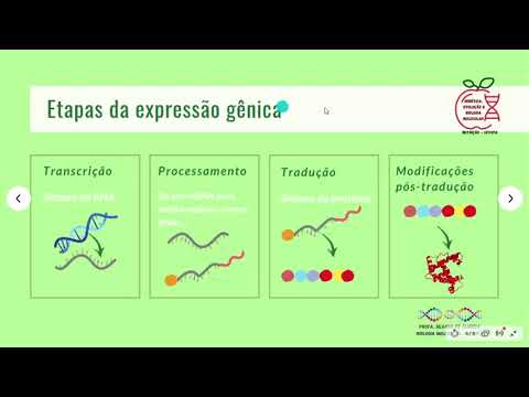 Vídeo: O que é necessário para a expressão do gene?