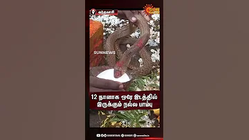 வந தவ ச ய ல 12 ந ள க ஒர இடத த ல இர க க ம நல ல ப ம ப Vandavasi Sun News 