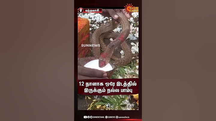 வந்தவாசியில் 12 நாளாக ஒரே இடத்தில் இருக்கும் நல்ல பாம்பு | Vandavasi | Sun News