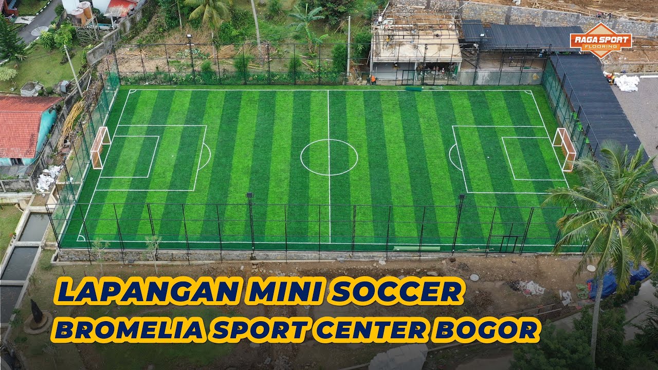 The arena mini soccer