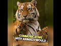 🐅🐒 If animals could talk, what secrets would they share? #TalkToAnimals#BeyondBoundaries
