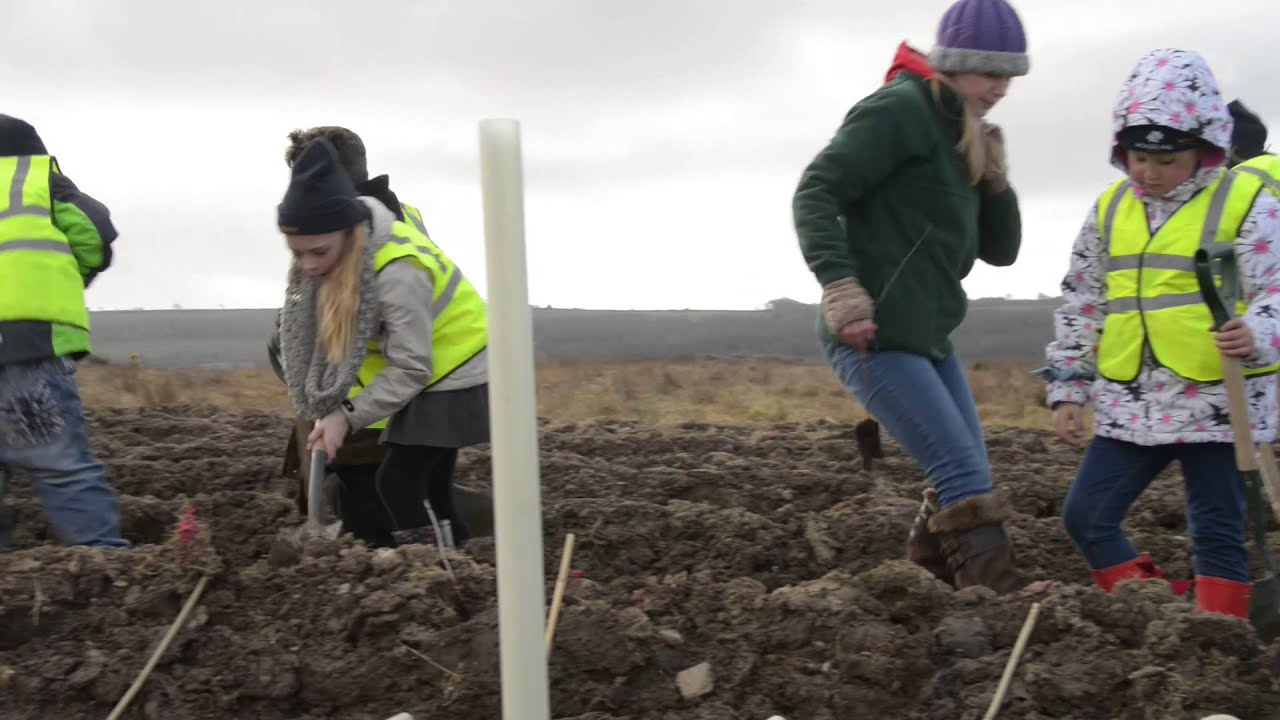 Millions of trees for millions of heroes