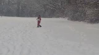 Little Ev Is Getting Used To The Snow At Meadow Breeze Park