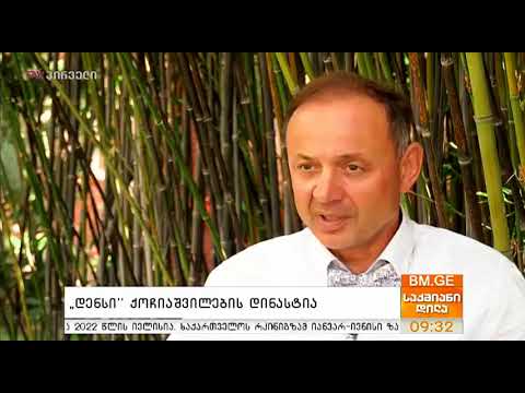 გიორგი ქოჩიაშვილის და დენსის განვითარების ისტორია | DENS | საქმიანი დილა