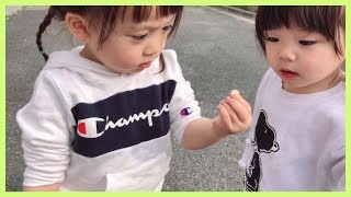 生き物大好き姉妹のアリさん観察日記🐜【ゆうひなた】
