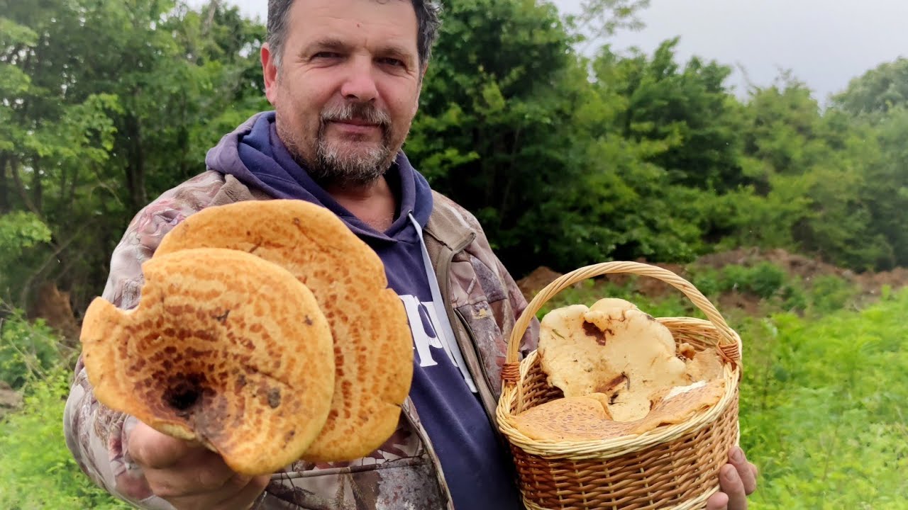 MÂNCĂRICĂ DE PĂSTRĂVI