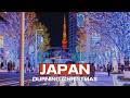 Best Places to Visit in Japan During Christmas (Tokyo • Kyoto • Osaka • Hokkaido)
