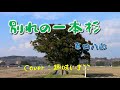 別れの一本杉/春日八郎 🎵Cover:趣味いまここ