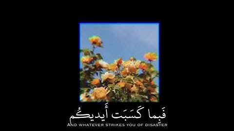 تلاوة مريحة و هادئة للقارىء وديع اليمني ⁦♥️⁩