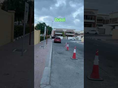 #dubai #bollywood #park