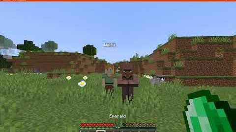 Village Follow 1.16.3 Forge Mod Overview (Following Villagers for 1.16.3)