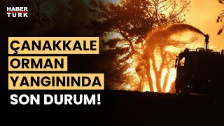 Çanakkale'de alevlerle mücadele! Son durumu Gülçin Hacıevliyagil Ayçe ve Ceylan Sever aktardı