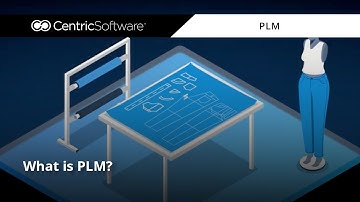 What is PLM?