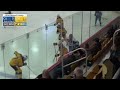 Women's NCAA Hockey Hosts Concordia University (2/4/23)