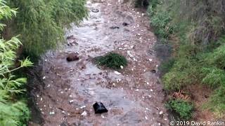 TRASH FLOOD! - A Flash Flood of Trash in Tucson AZ