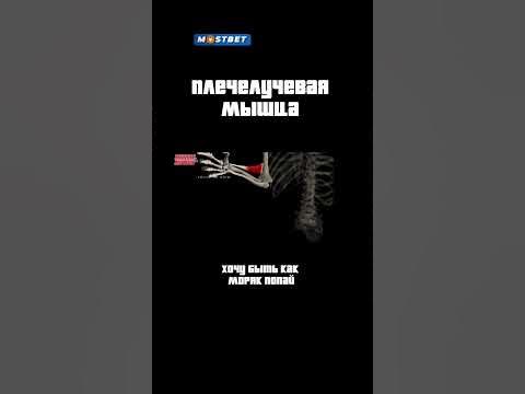 ПЛЕЧЕЛУЧЕВАЯ МЫШЦА💥 - YouTube