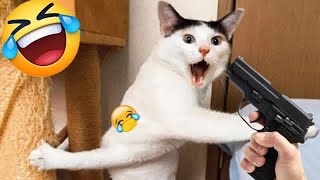 Best Funniest Animal Videos 2024🤣🦮Funny Dogs And Cats Videos Of The year😁part 11