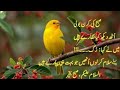 Asalam o alaikum. 🏜 new subha bakhair Dua  status 2020.   Good morning WhatsApp status 2020