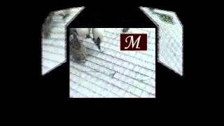 Installation.avi