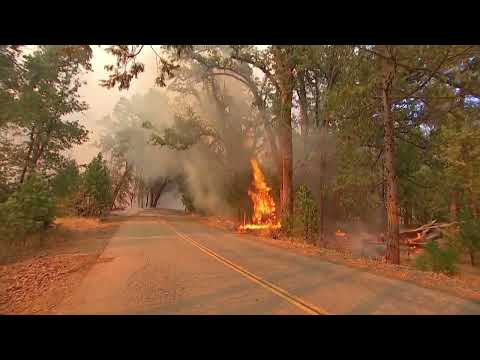 Raw footage: Fast burning fire spreads across Mariposa, California, burning over 9,500 acres