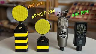Demo - Neat King & Worker Bee vs Lewitt 440 Pure vs Cad M179 | Talking & Singing | Male & Female VoX
