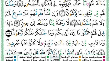 حمزة الجزائري سورة يس مكتوبة برواية ورش عن نافع