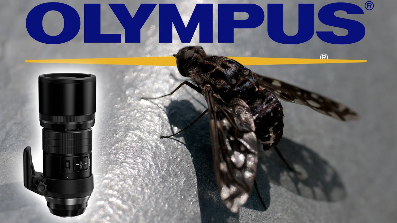 Is Olympus Worth Buying Into in 2022? YouTube