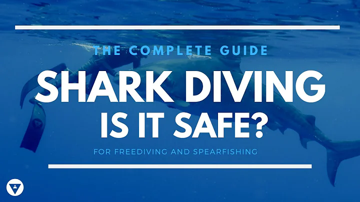 The Complete Guide | Is Shark Diving Safe?