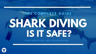The Complete Guide | Is Shark Diving Safe?