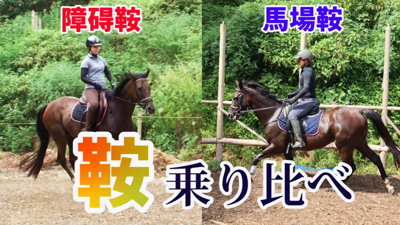 鞍乗り比べ 馬場鞍 障碍鞍６個乗ってみた Youtube