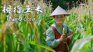 Thumb corn—sweet and sticky corn that's only the size of a finger【滇西小哥】