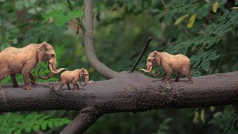 ELEPHANT POINT TRACKING || AFTER EFFECT || COMPOSITING